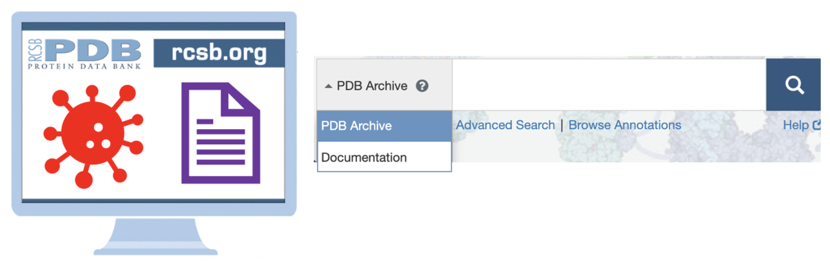 Use the pulldown menu to target queries of the <I>PDB archive</I> or <I>Documentation</i>