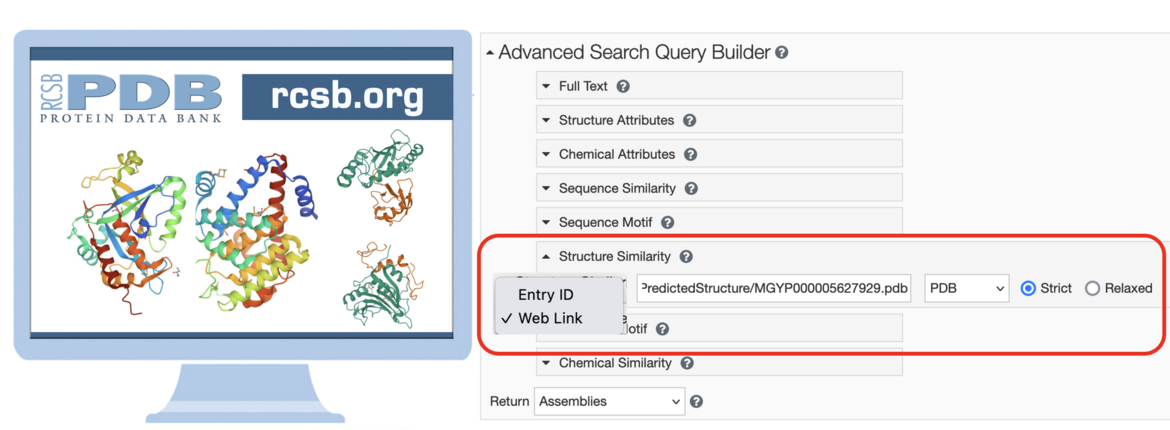 <I>Enter a PDB ID or URL address for a publicly-available data file (e.g., from AlphaFold, ModelArchive, ESMFold, a shared drive) to launch a Structure Similarity Search. <a href="https://url.rcsb.org/search?request=%7B%22query%22:%7B%22type%22:%22group%22,%22logical_operator%22:%22and%22,%22nodes%22:%5B%7B%22type%22:%22terminal%22,%22service%22:%22structure%22,%22parameters%22:%7B%22operator%22:%22strict_shape_match%22,%22value%22:%7B%22url%22:%22https://api.esmatlas.com/fetchPredictedStructure/MGYP000005627929.pdb%22,%22format%22:%22pdb%22%7D%7D%7D%5D%7D,%22return_type%22:%22assembly%22,%22request_options%22:%7B%22paginate%22:%7B%22start%22:0,%22rows%22:25%7D,%22results_content_type%22:%5B%22experimental%22%5D,%22sort%22:%5B%7B%22sort_by%22:%22score%22,%22direction%22:%22desc%22%7D%5D,%22scoring_strategy%22:%22combined%22%7D,%22request_info%22:%7B%22query_id%22:%22d4aba66b250c647dade9bf13869d52c6%22%7D%7D">Launch an example search that uses a Web Link</a>.</I>