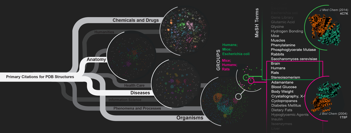 Find connections between articles describing PDB structures with the new PDB Citation MeSH Network Explorer