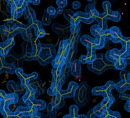<I>Coordinate frame-transformed myoglobin 1MBO coordinates with 2Fo-Fc map visualized using COOT.</I>