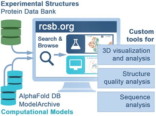 Graphical abstract: RCSB.org now delivers ∼200 000 experimentally-determined PDB structures alongside >1M Computed Structure Models that can all be searched, analyzed, visualized, and explored using custom tools and features.