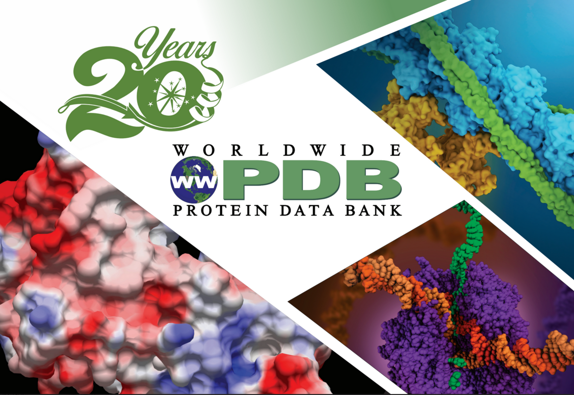 <I>wwPDB is celebrating its 20th anniversary.</I>