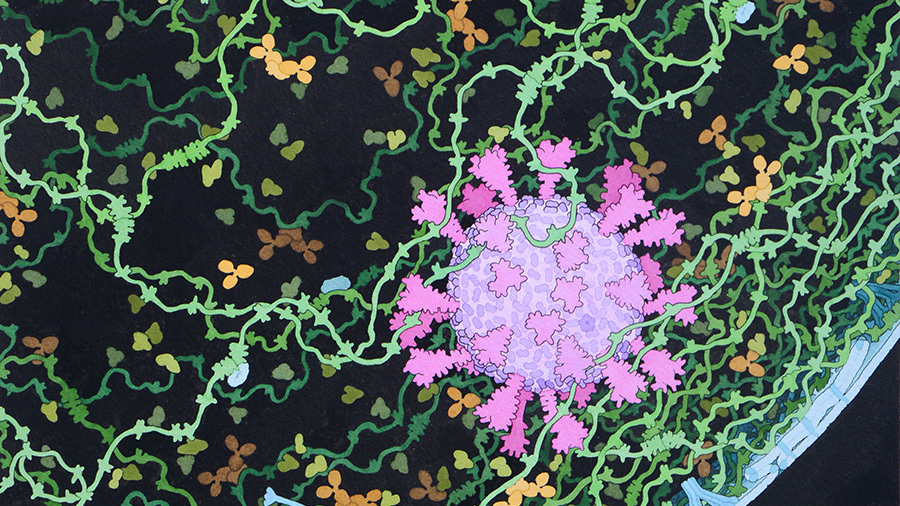 <I>From </I>Respiratory Droplet<I>, 2020 by David Goodsell doi: 10.2210/rcsb_pdb/goodsell-gallery-024</I>