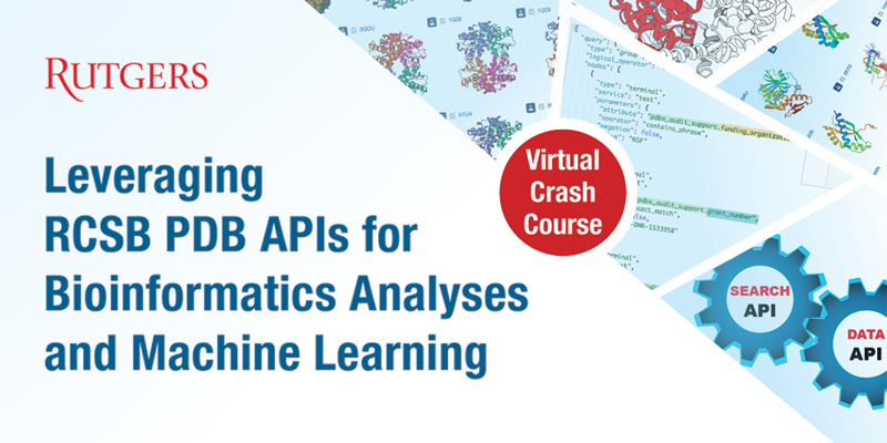 Register for Part 1 of <I>Leveraging RCSB PDB APIs for Bioinformatics Analyses and Machine Learning</I>