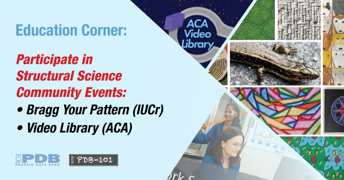 Published quarterly, each <a href="http://pdb101.rcsb.org/learn/education-corner">Education Corner</a> describes of how community members use the PDB and related resources.  <BR>Contact <a href="mailto:info@rcsb.org">info@rcsb.org</a> to contribute.