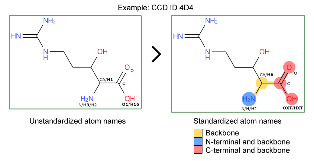 <I>Updated peptide CCDs will have standardized atom names and backbone / N- and C- terminal annotation.</I>