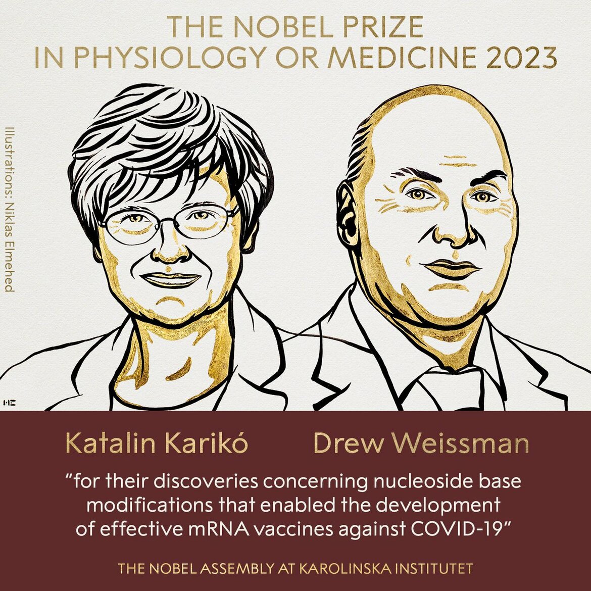 The Nobel Prize in Physiology or Medicine 2023 will be awarded to <a href="https://www.nobelprize.org/prizes/medicine/2023/summary/">Katalin Karikó and Drew Weissman</a> <I>for their discoveries concerning nucleoside base modifications that enabled the development of effective mRNA vaccines against COVID-19</I>.
