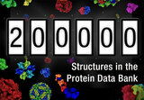 PDB Reaches a New Milestone: 200,000+ Entries