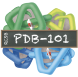 Head Back to School with PDB-101