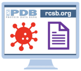 Search for Structures or Feature Help, News, and PDB-101