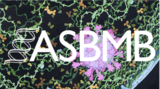 ASBMB Members: Register Now for Virtual Event