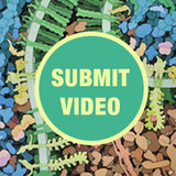 High School Students: Submit Videos By April 24