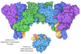 Explore the Structural Biology of Viruses