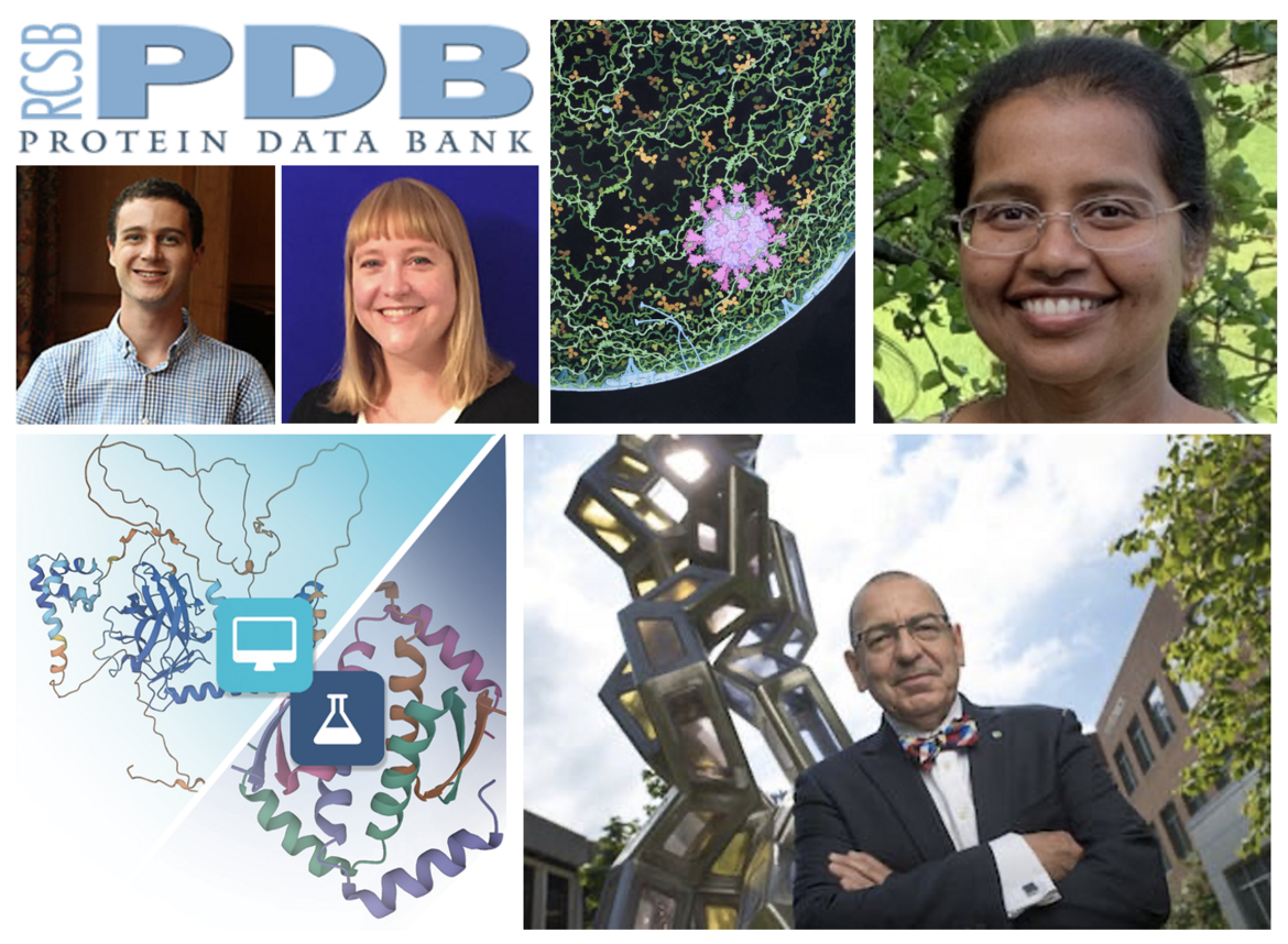 <I>Collage of RCSB PDB speakers and topics at IUCr.</I>
