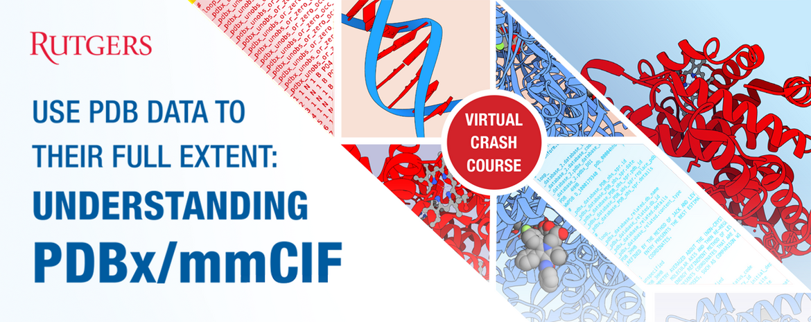 Watch recordings of the <I>Virtual Crash Course: Use PDB data to their full extent:  Understanding 
PDBx/mmCIF </I>
