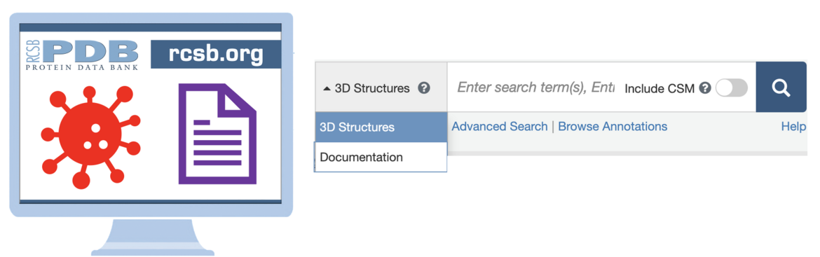 Use the pulldown menu to target queries of <I>3D Structures</I> or <I>Documentation</i>