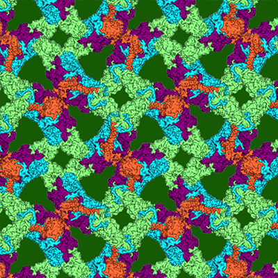 Photosynthetic reaction center from entry 1PRC crystal lattice