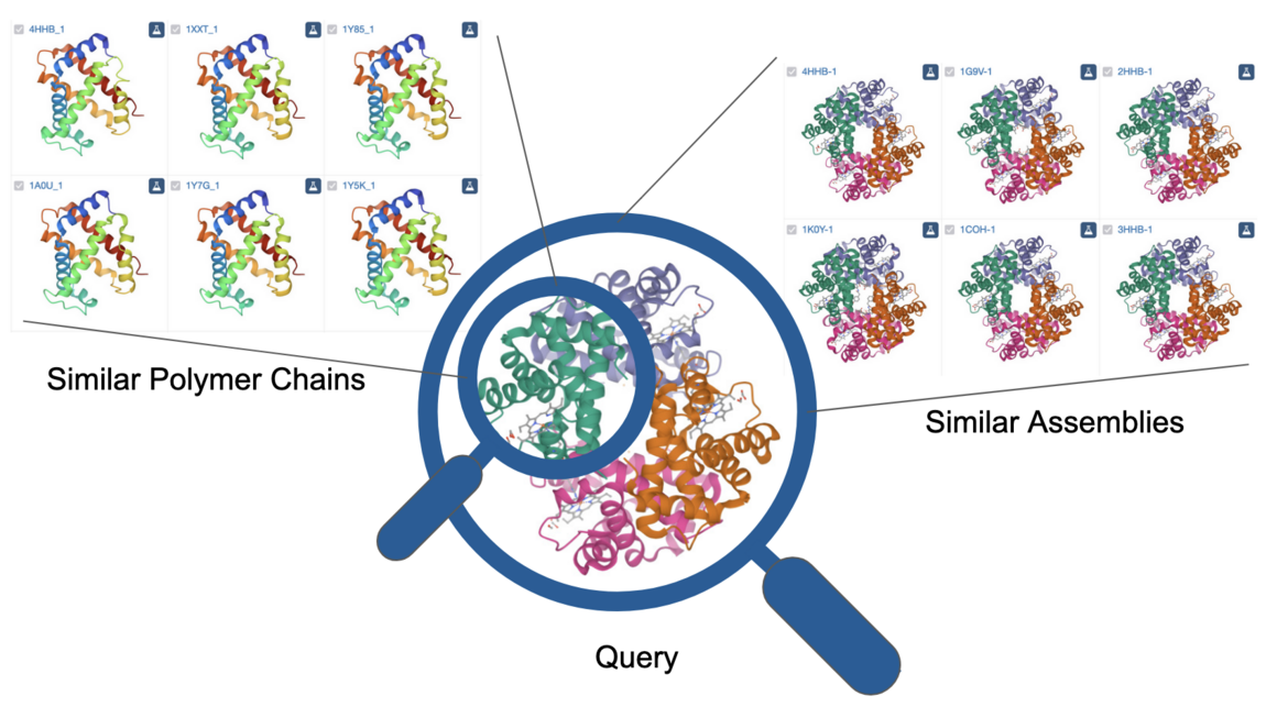 <I>Find structurally similar chains and assemblies using Advanced Search</I>