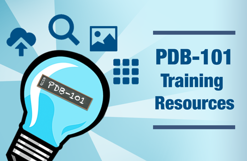 Learn to effectively use tools for deposition, searching, analysis, and visualization of PDB data