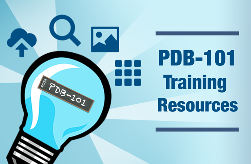 <a href="https://pdb101.rcsb.org/learn/guide-to-understanding-pdb-data/introduction"><I>PDB-101 offers training resources to help effectively use RCSB.org tools for searching, visualizing, and analyzing 3D biostructure data, including the Guide to Understanding PDB Data, Training Courses, the Education Corner series, and more</I></a>