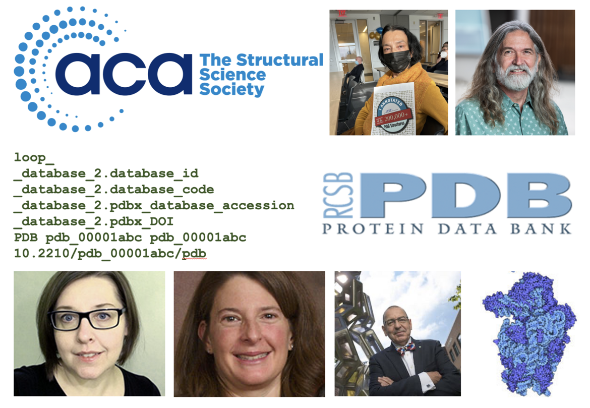 <I>Collage of RCSB PDB speakers and topics at ACA.</I>