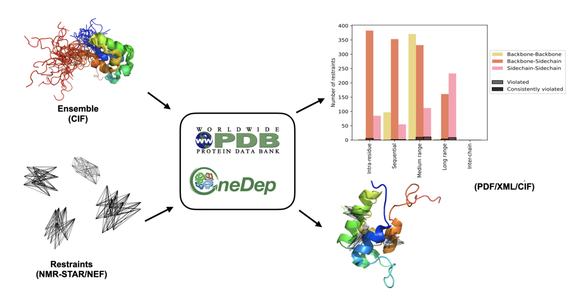 Graphical Abstract