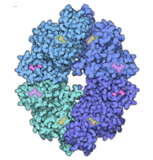 PDB-101 Focus: Peak Performance