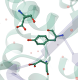 Explore Mechanism and Catalytic Site Annotations