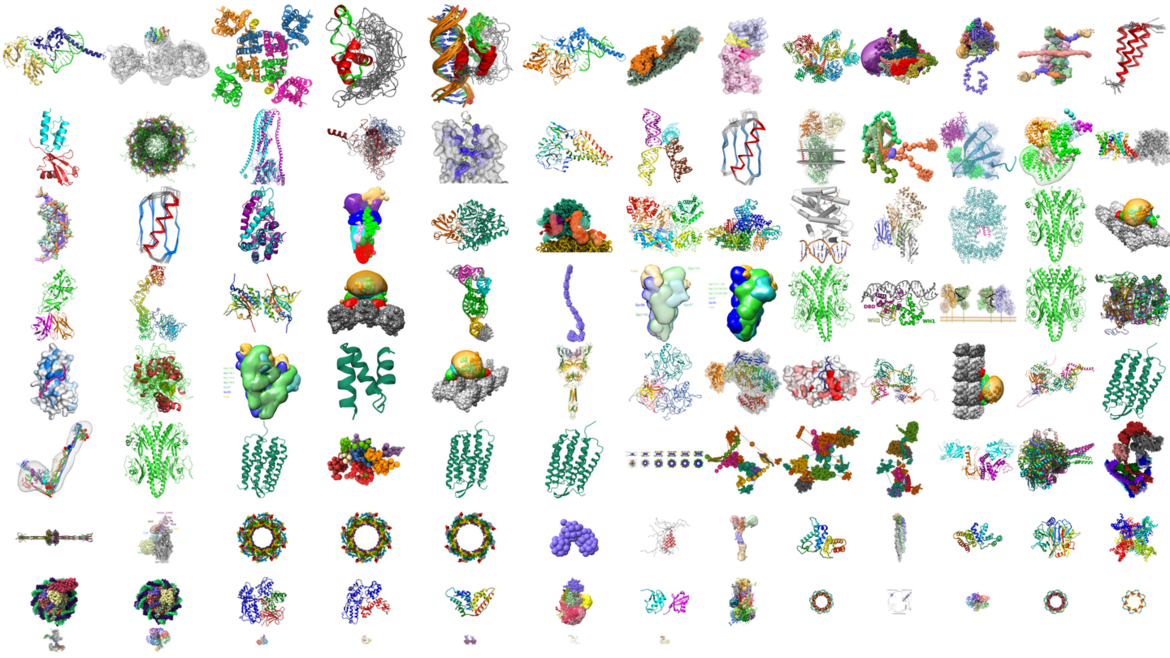 Integrative structures are available at wwPDB.org and the PDB archive