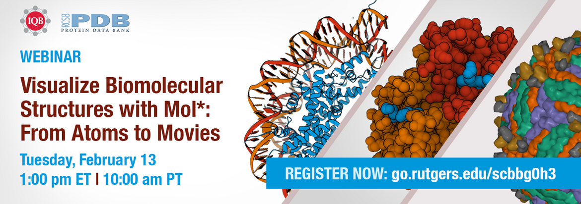 <I>Join RCSB PDB to learn how to </I>Visualize Biomolecular structures with Mol*: From Atoms to Movies