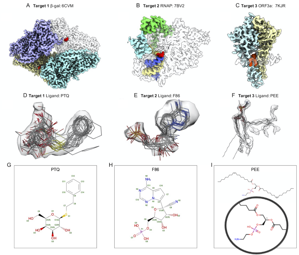 <I>Figure 2: Ligand Challenge targets and ligands from submitted models. In (A-C), Targets 1-3 are shown, with each polymer/nucleic acid chain rendered as a separate surface with a different color, in some cases semi-transparent. Target ligands are shown in red. In (D-F), segmented density representing each target ligand is shown with a semi-transparent surface, with submitted ligand models overlaid. Map contour levels are 0.35 (2.3σ), 0.036 (2.6σ), 0.25 (3.7σ) respectively (sigma values were calculated from the full unmasked map to capture variation in background noise). (G-I) Chemical sketches for each of the target ligands (source: PDB). Figure from </I>Nature Methods<I> doi: 10.1038/s41592-024-02321-7</I>