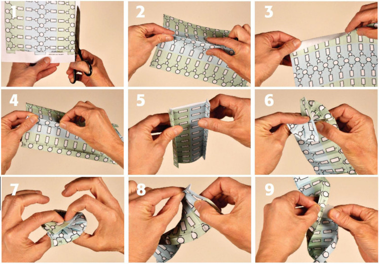 <I>Step-by-step pictorial instructions for folding a paper model of DNA. (Figure 1 of </I>Patterns <I>5: 100931 doi: 10.1016/j.patter.2024.100931)</I>