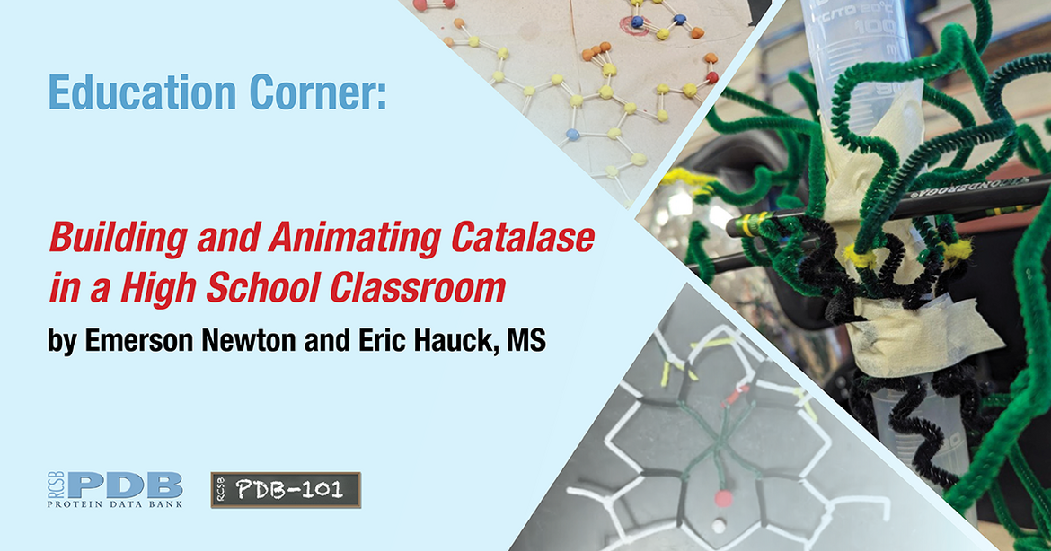 Published quarterly, each <a href="http://pdb101.rcsb.org/learn/education-corner">Education Corner</a> describes of how community members use the PDB and related resources.  <BR>Contact <a href="mailto:info@rcsb.org">info@rcsb.org</a> to contribute.