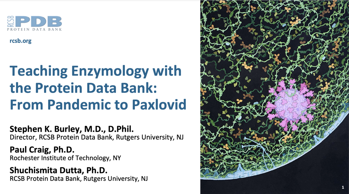 Watch recordings of the <I>Teaching Enzymology with the Protein Data Bank: From Pandemic to Paxlovid</I>