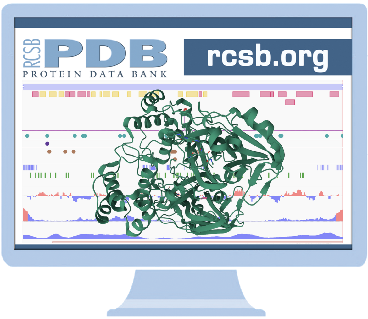 <I>Please take this brief survey about visualization at RCSB.org.</I>