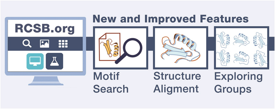 <i>In addition to providing support for 3D structure motif searches with user-provided coordinates, new features highlighted herein include query results organized by redundancy-reduced Groups and summary pages that facilitate exploration of groups of similar proteins. Newly released programmatic tools are also described, as are enhanced training opportunities.</I>