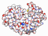 PDB-101 Focus: Peak Performance