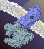 PDB-101 Focus: Peak Performance