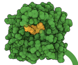 Behind Molecule of the Month