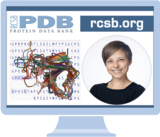 Register for the Aug 11 Virtual Office Hour on Pairwise Alignment