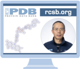 Register Now for Webinar: Searching the PDB for high-quality ligand-bound structures