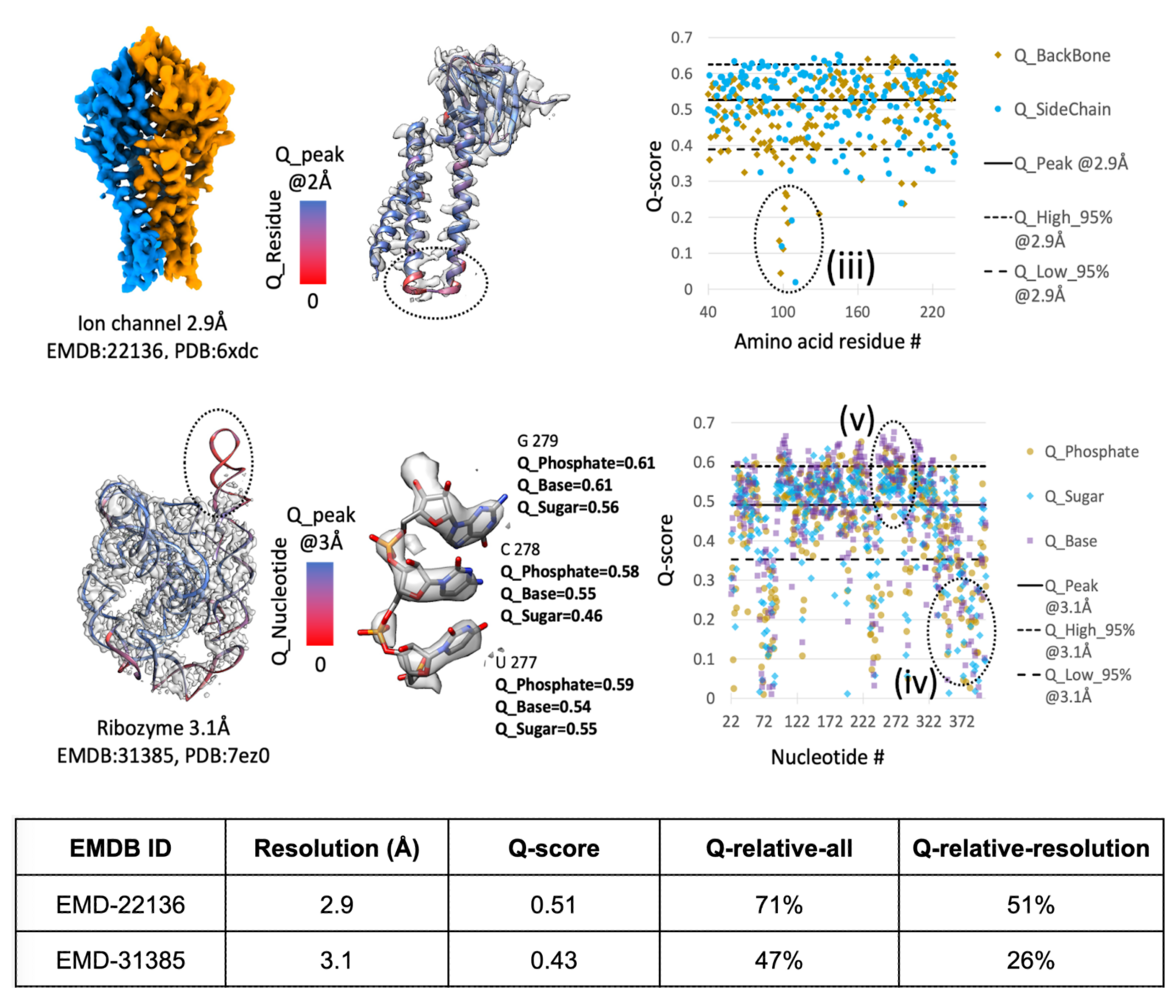 <I>Examples of Q-score application in proteins and in nucleic acids adapted from: doi: 10.1107/S2059798325005923</I>