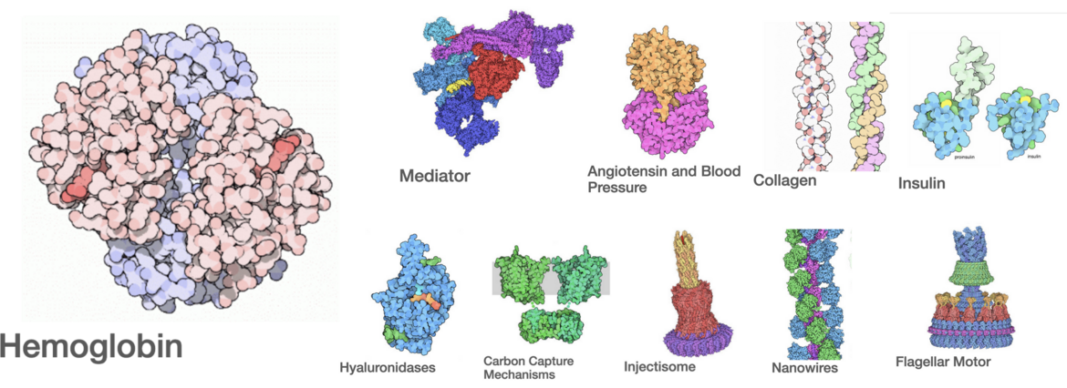 <I>Top Molecule of the Month articles in 2024</I>