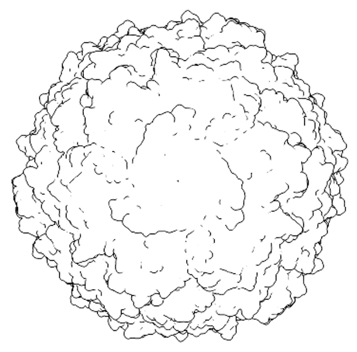 <I>PDB ID 1HXS</I>
