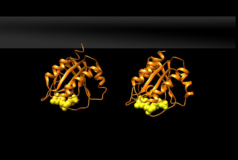 Ras protein with GDP and GTP-like ligand bound