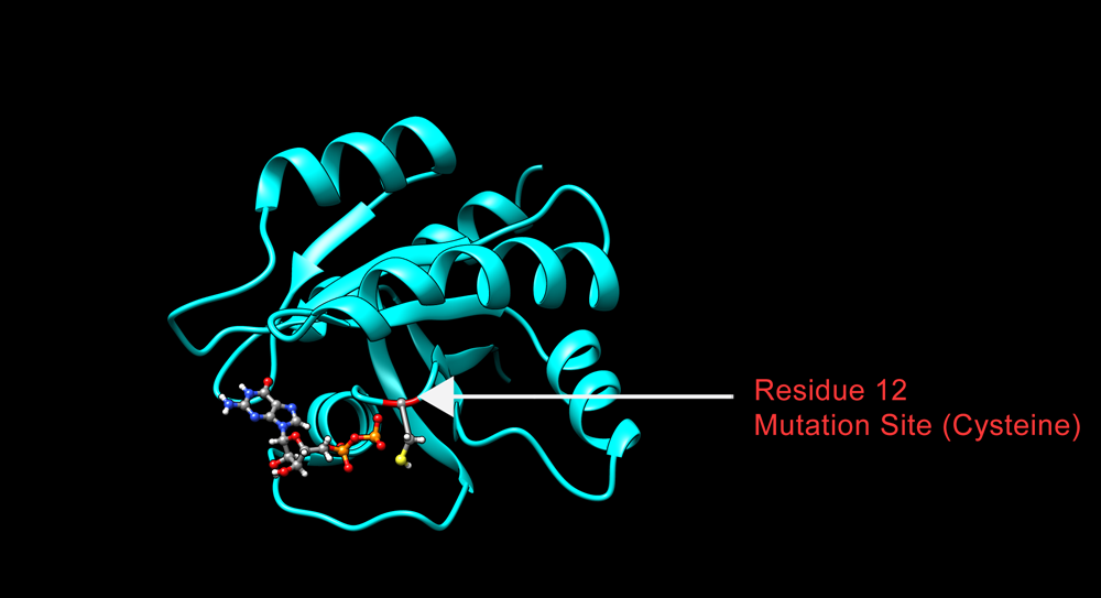 KRAS with G12C Mutation