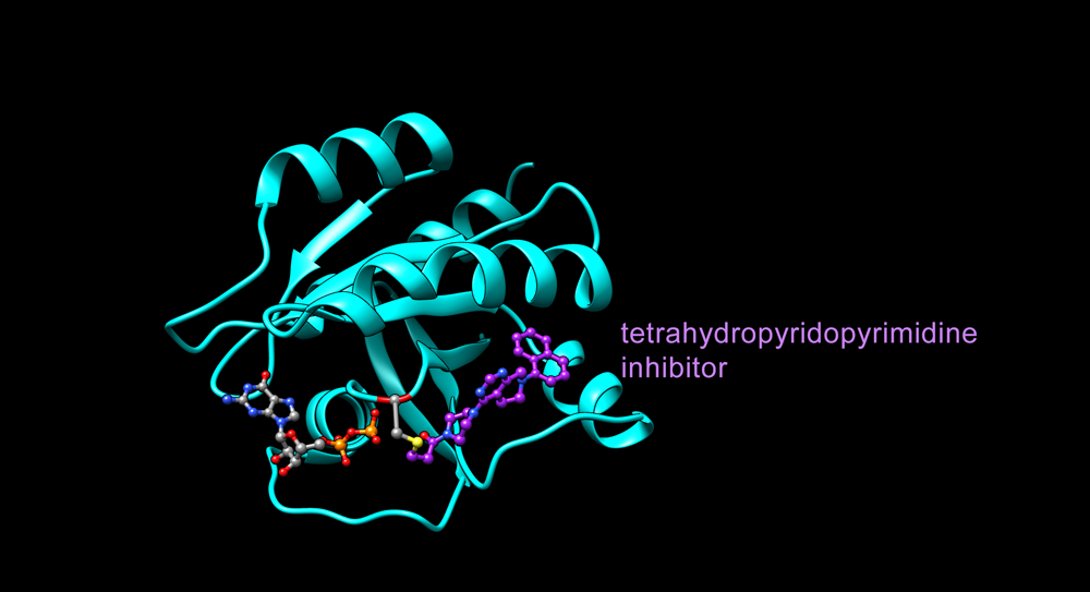 G12C Mutant with Inhibitor