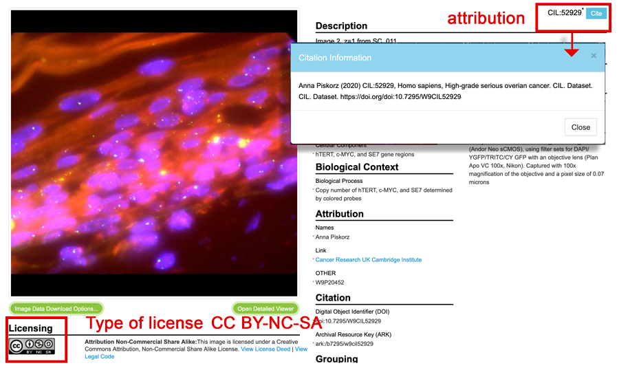 Cell image library