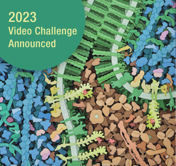 2023 Video Challenge key visual