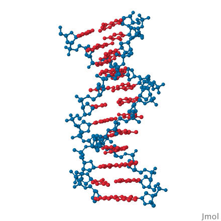 PDB-101: Geis Archive: B-DNA